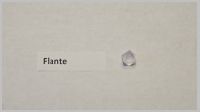Flante.jpg