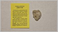 Limestone.jpg